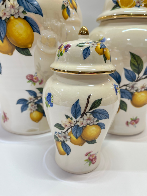 جینجرجار صدفی لیمو🍋