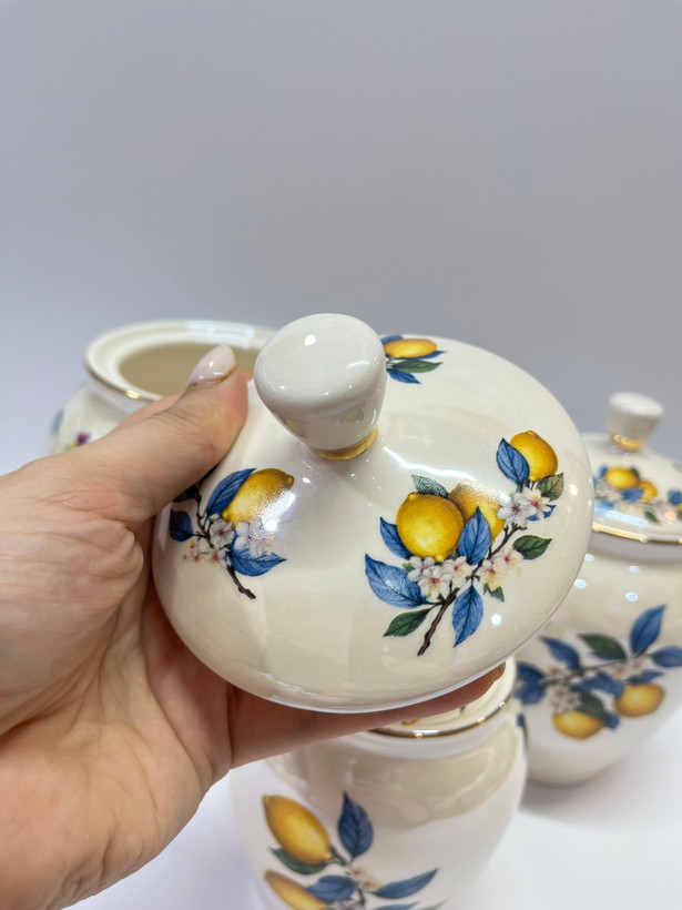 بانکه صدفی لیمو 🍋